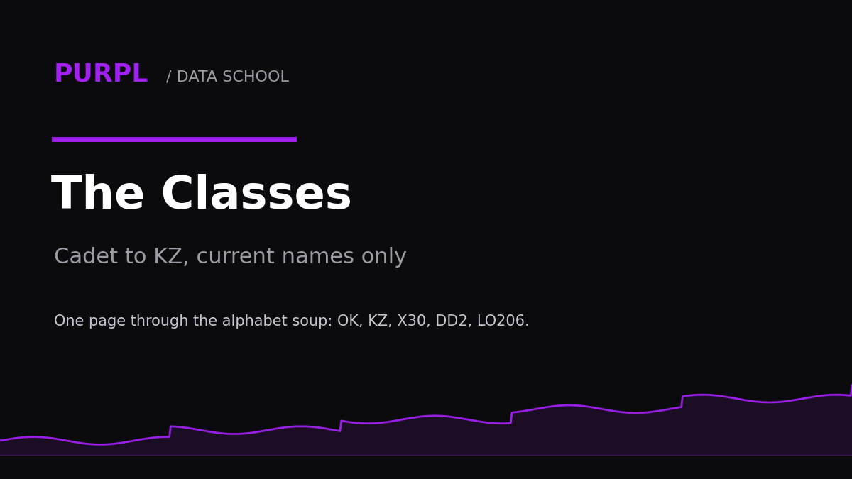 Karting classes explained guide cover with class names from cadet to KZ on black and purple